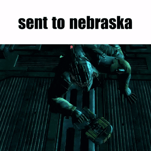 a picture of a video game character with the words sent to nebraska