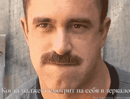 a man with a mustache is looking at the camera with a caption in russian that says the catfishing collection