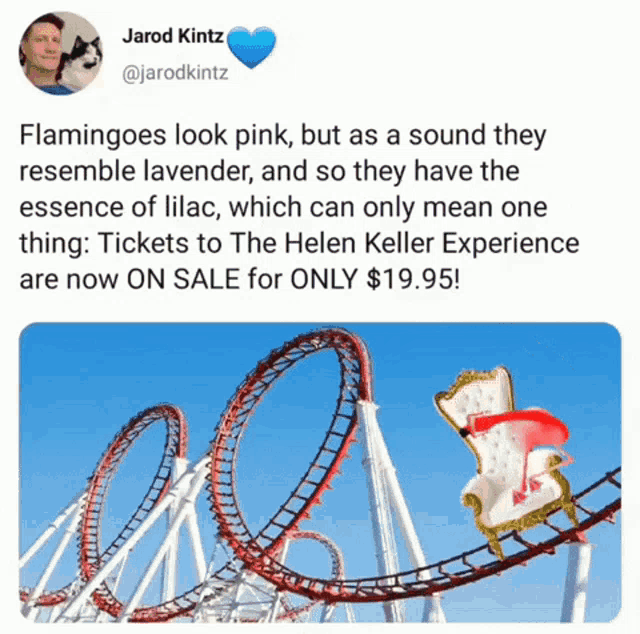 a roller coaster with flamingos on it is on sale for only $19.95