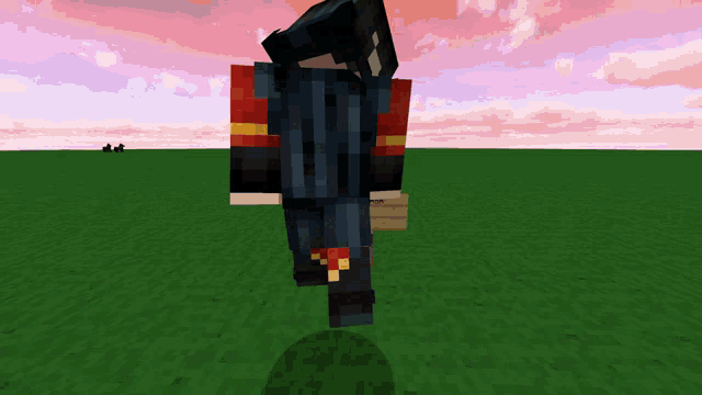a minecraft character is walking in a field