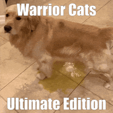a dog standing next to a puddle of yellow liquid with the words warrior cats ultimate edition written above it
