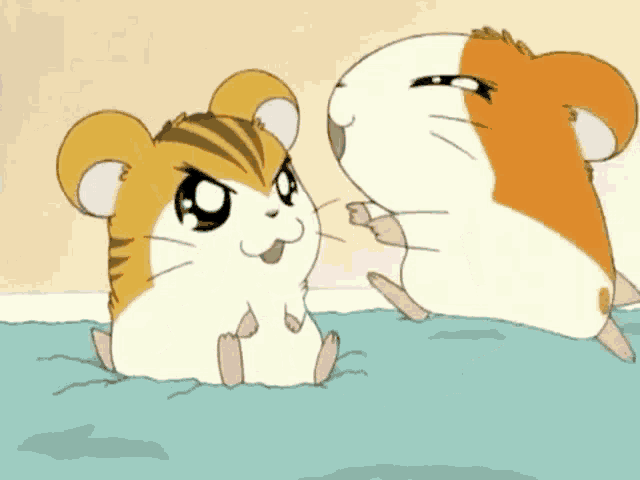two hamsters are standing next to each other on a blue blanket