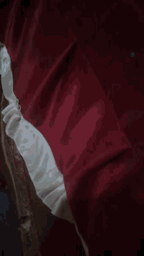 a close up of a red and white cloth
