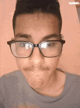 a man with glasses and a mustache is making a funny face with lunaa written in the corner