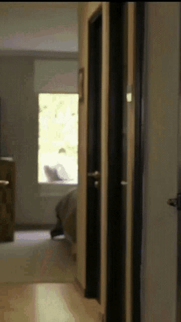 Kathy Martorell Katherine GIF
