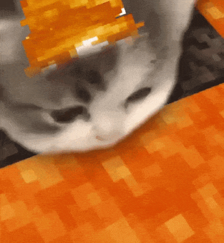 Cat In Minecraft Lava Cat GIF - Cat In Minecraft Lava Cat GIFs