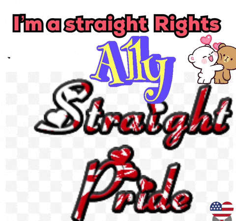 a poster that says i 'm a straight rights ally straight pride
