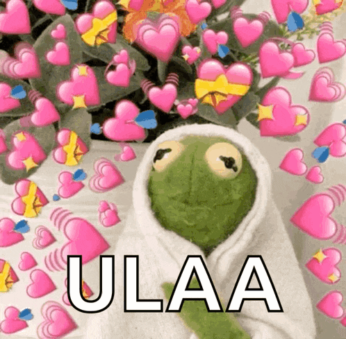 a kermit the frog is wrapped in a white towel and surrounded by pink hearts and the words ulaa