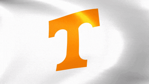orange letter t on a white background