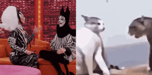 two drag queens are sitting on a couch and a cat is sitting on the floor