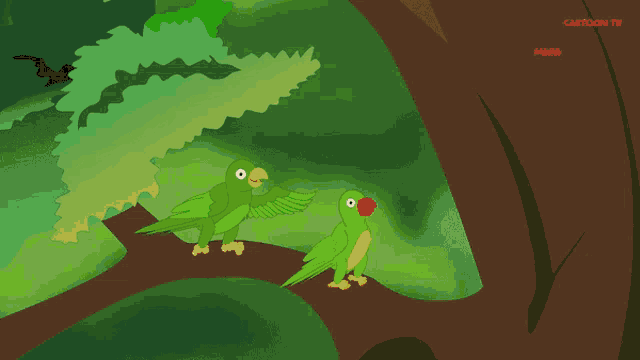 a cartoon of two green birds on a tree branch with the word mooks on the bottom left