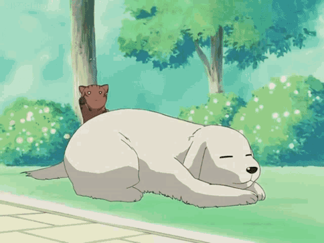 Azumanga Daioh Anime GIF - Azumanga Daioh Anime Iriomote GIFs