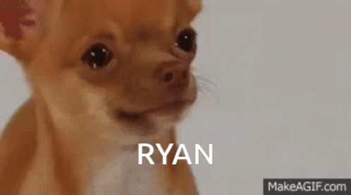 Ryan Dog GIF - Ryan Dog Crying GIFs