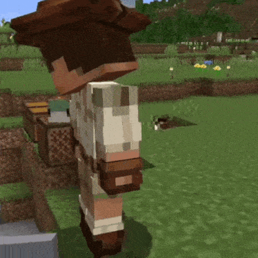 a man in a cowboy hat is standing in a field in a minecraft game .