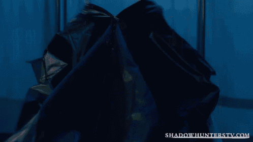 a young man in a blue shirt is smiling in front of a shadowhunterstv.com logo