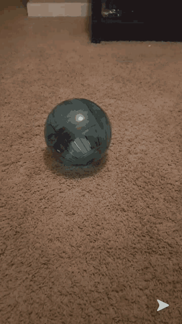 Hamster Hamster Ball GIF - Hamster Hamster Ball Rolling GIFs