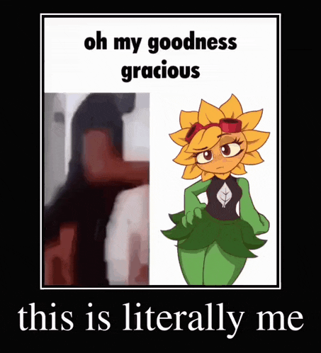 a poster that says oh my goodness gracious on it
