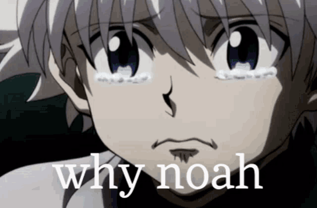 Why Noah GIF - Why Noah GIFs