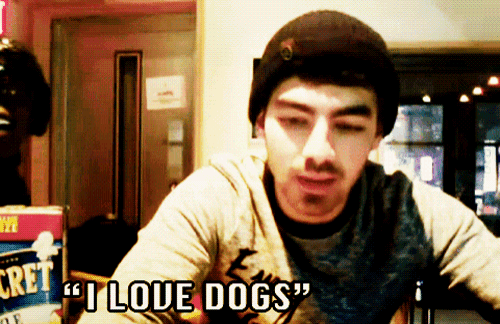 a man in a beanie says " i love dogs " in front of a box of secret