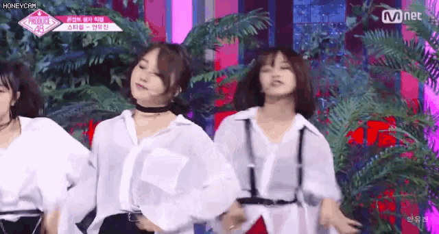 a group of girls are dancing on a stage in front of palm trees .