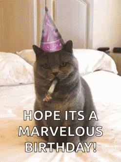 Cat Birthday GIF - Cat Birthday Hope Its A Marvelous Birthday GIFs