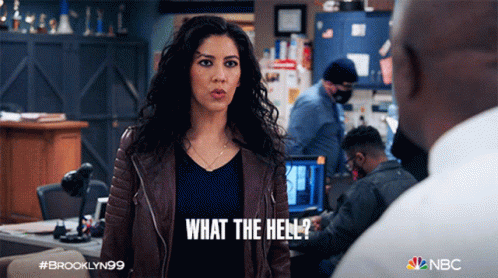 What The Hell Gina Linetti GIF - What The Hell Gina Linetti Brooklyn Nine Nine GIFs