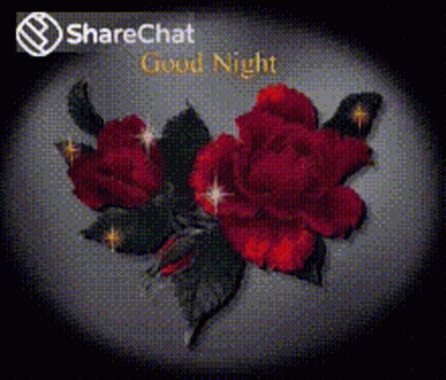 Good Night Night GIF - Good Night Night Glittering GIFs