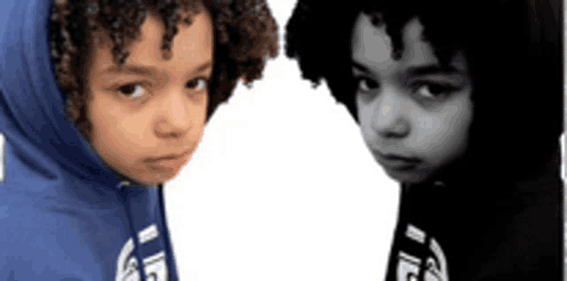 two children wearing blue and black hoodies are looking at the camera
