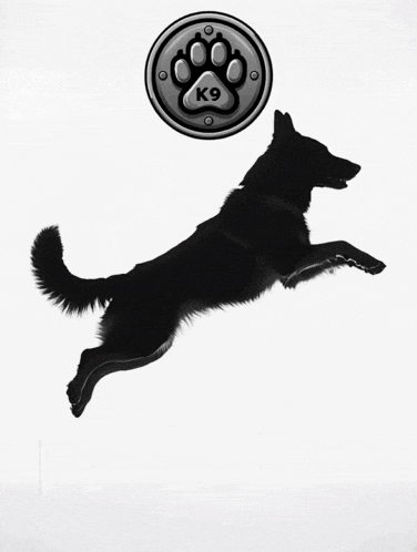 a silhouette of a dog jumping in the air with a k9 logo behind it