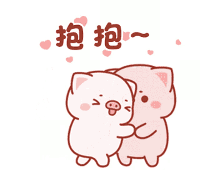 a couple of pigs standing next to each other with chinese writing above them