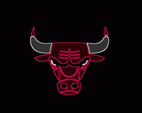 Nba Chicago Bulls GIF - Nba Chicago Bulls GIFs