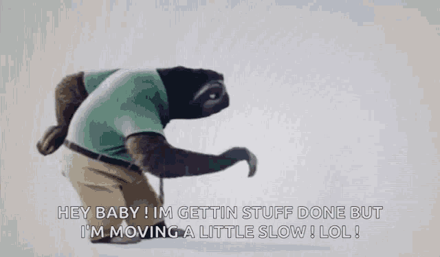 Sloth Walking Slow GIF - Sloth Walking Slow Slow Mo GIFs