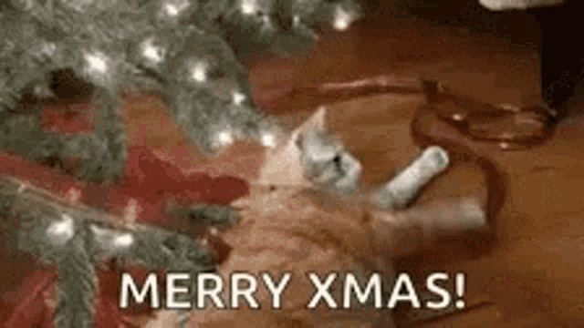 Merry Christmas Play GIF - Merry Christmas Play Cat GIFs