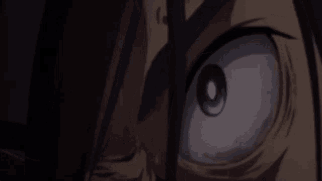 a close up of a person 's eyes in a dark room