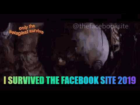 The Facebook Site The Site GIF - The Facebook Site The Site I Survived GIFs