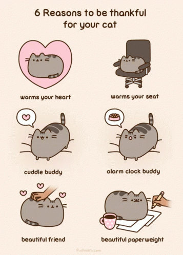 Cats Reasons To Be Thankful For Your Cat GIF - Cats Reasons To Be Thankful For Your Cat Pusheen GIFs