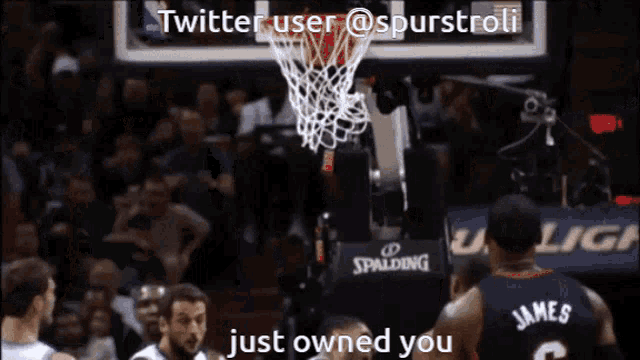 a basketball player named james just owned you in front of a spalding logo