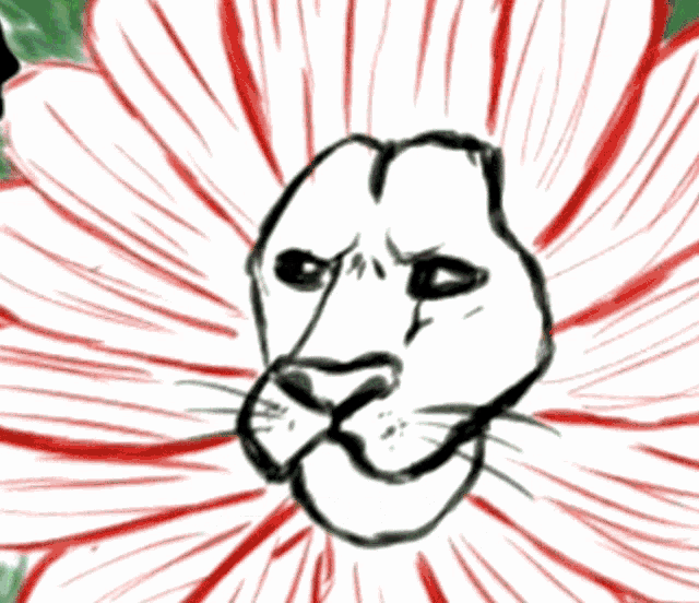a drawing of a flower that looks like a lion