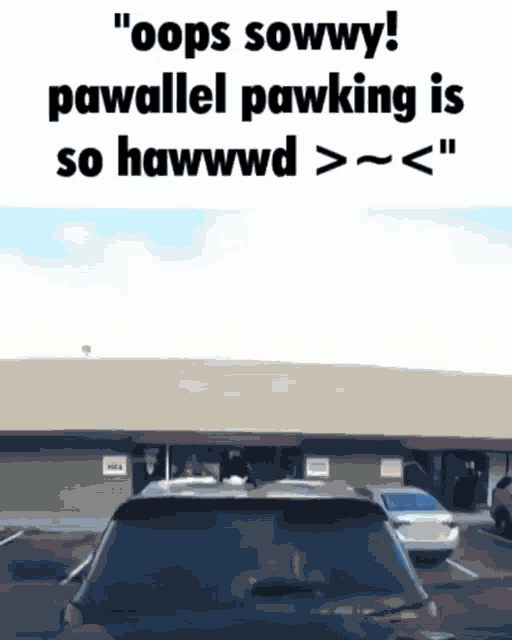 Parallel Parking So Hard GIF - Parallel Parking So Hard Car Crash GIFs