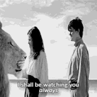 Aslan The Lion The Witch And The Wardrobe GIF