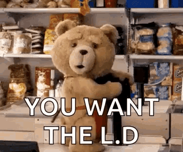 a teddy bear is holding a person in a store and says `` you want the l.d. ''
