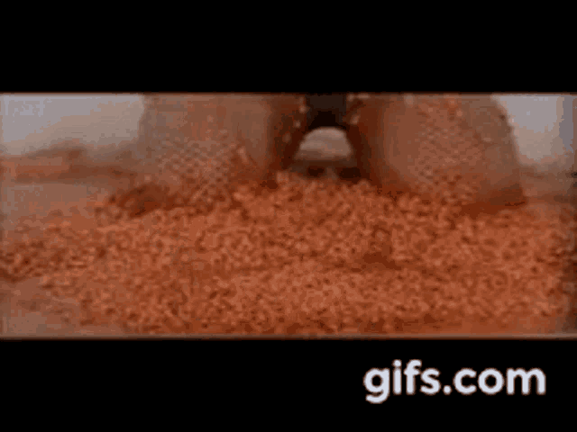a close up of a bug crawling on a pile of dirt .