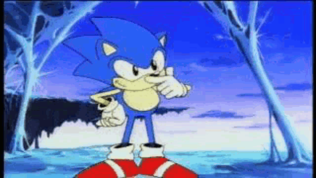 sonic the hedgehog is standing on a ring in a forest .