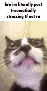 a cat is sticking its tongue out in a meme .
