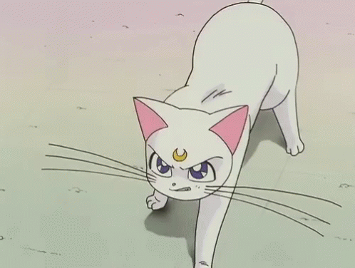 Sailor Moon Cat GIF - Sailor Moon Cat No GIFs