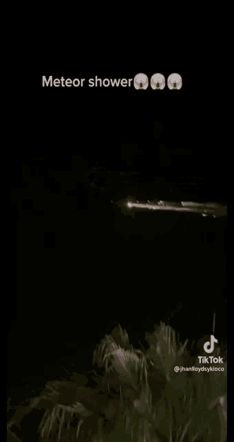 a meteor shower is visible in the night sky above trees .