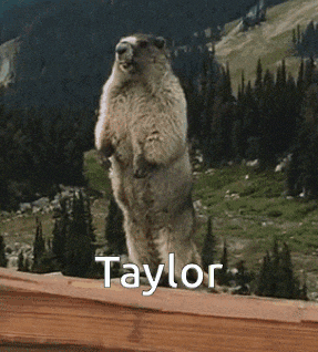 a squirrel standing on its hind legs with the name taylor written above it