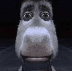 a close up of a donkey 's face looking at the camera with its mouth open .