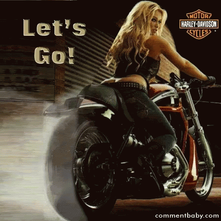 Harley Lets Go GIF - Harley Lets Go Inviting GIFs