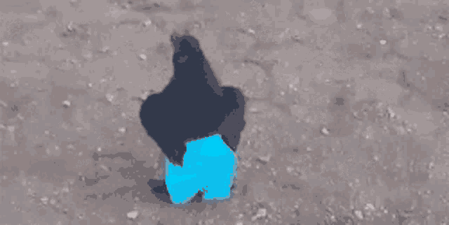 a person in a blue shirt is standing in the sand